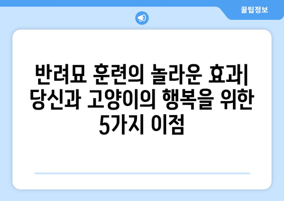 반려묘 훈련의 놀라운 효과| 당신과 고양이의 행복을 위한 5가지 이점 | 고양이 훈련, 행동 교정, 긍정적 강화