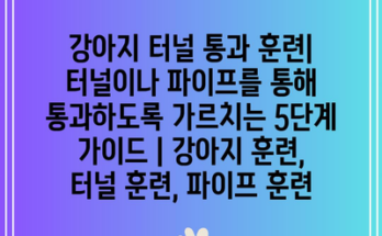 강아지 터널 통과 훈련| 터널이나 파이프를 통해 통과하도록 가르치는 5단계 가이드 | 강아지 훈련, 터널 훈련, 파이프 훈련