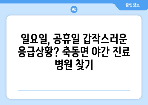 경상남도 사천시 축동면 일요일 휴일 공휴일 야간 진료병원 리스트