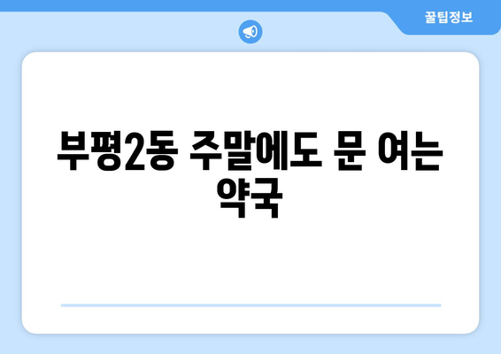 인천시 부평구 부평2동 24시간 토요일 일요일 휴일 공휴일 야간 약국