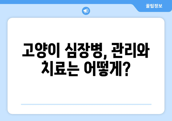 고양이 심장 질환, 수의사가 알려주는 진단 & 관리 가이드 | 고양이 건강, 심장병, 수의학