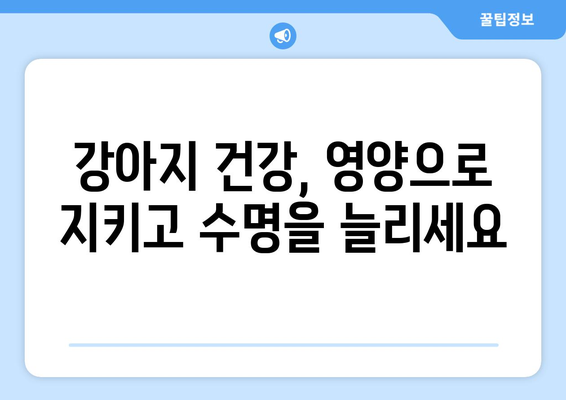 강아지 장수의 비밀| 영양 관리가 어떻게 수명을 연장하는가? | 건강, 수명, 영양, 팁