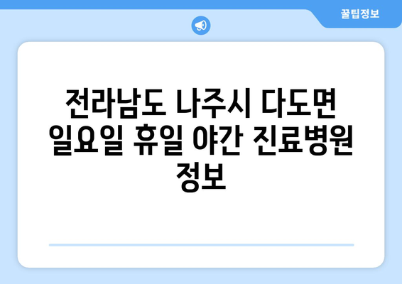 전라남도 나주시 다도면 일요일 휴일 공휴일 야간 진료병원 리스트