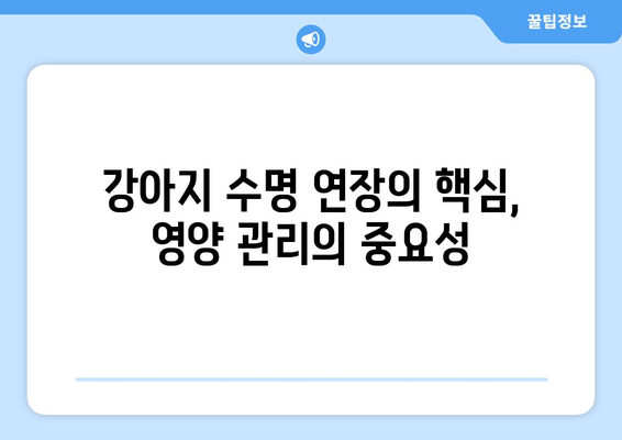 강아지 장수의 비밀| 영양 관리가 어떻게 수명을 연장하는가? | 건강, 수명, 영양, 팁