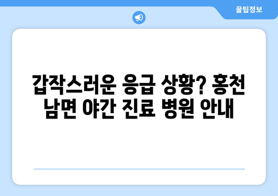 강원도 홍천군 남면 일요일 휴일 공휴일 야간 진료병원 리스트