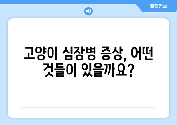 고양이 심장 질환, 수의사가 알려주는 진단 & 관리 가이드 | 고양이 건강, 심장병, 수의학