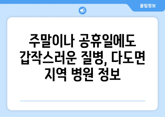 전라남도 나주시 다도면 일요일 휴일 공휴일 야간 진료병원 리스트