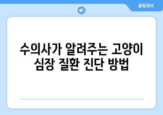 고양이 심장 질환, 수의사가 알려주는 진단 & 관리 가이드 | 고양이 건강, 심장병, 수의학