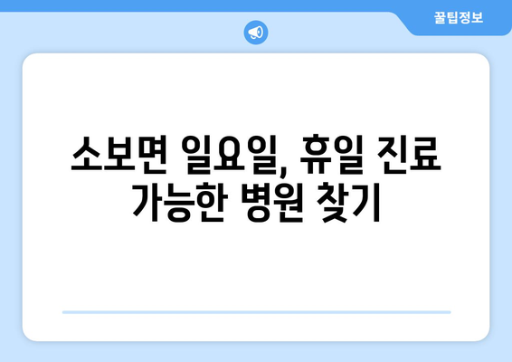 대구시 군위군 소보면 일요일 휴일 공휴일 야간 진료병원 리스트