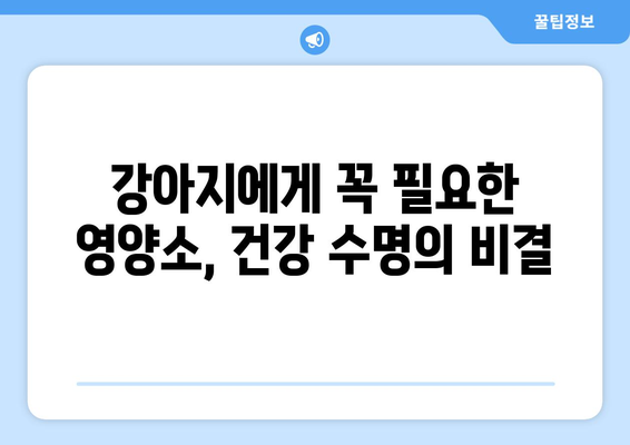 강아지 장수의 비밀| 영양 관리가 어떻게 수명을 연장하는가? | 건강, 수명, 영양, 팁