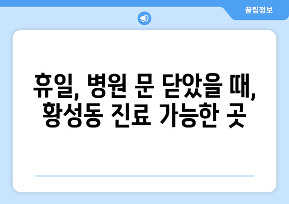 경상북도 경주시 황성동 일요일 휴일 공휴일 야간 진료병원 리스트