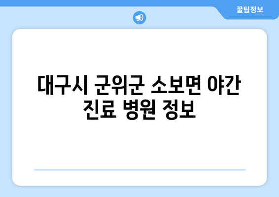 대구시 군위군 소보면 일요일 휴일 공휴일 야간 진료병원 리스트