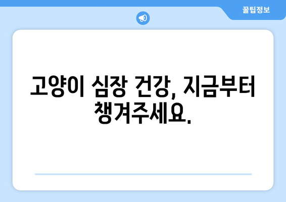 고양이 심장 질환, 수의사가 알려주는 진단 & 관리 가이드 | 고양이 건강, 심장병, 수의학