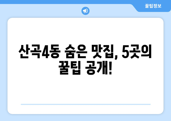 인천시 부평구 산곡4동 점심 맛집 추천 한식 중식 양식 일식 TOP5