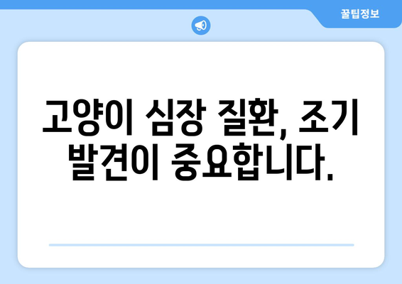 고양이 심장 질환, 수의사가 알려주는 진단 & 관리 가이드 | 고양이 건강, 심장병, 수의학