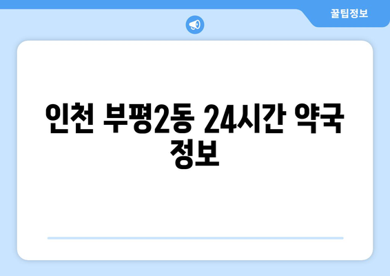 인천시 부평구 부평2동 24시간 토요일 일요일 휴일 공휴일 야간 약국