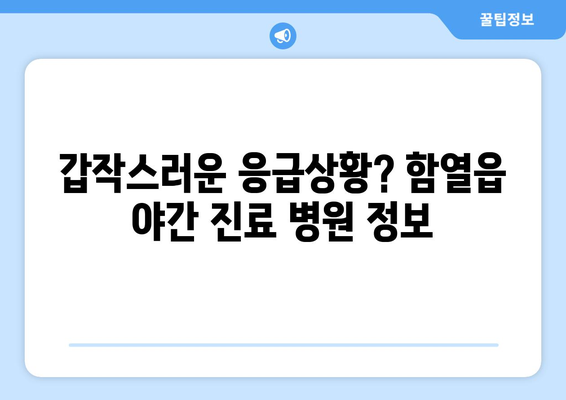 전라북도 익산시 함열읍 일요일 휴일 공휴일 야간 진료병원 리스트