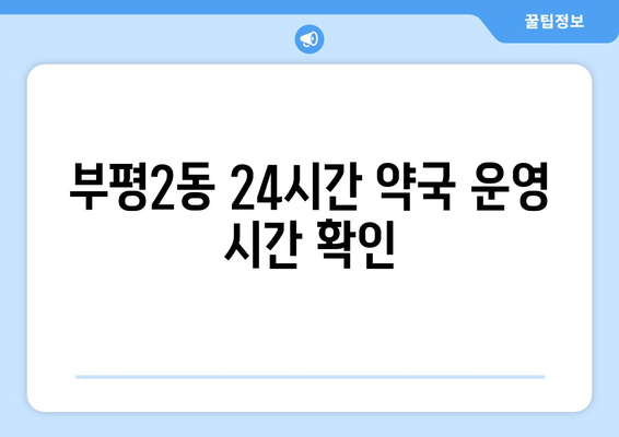 인천시 부평구 부평2동 24시간 토요일 일요일 휴일 공휴일 야간 약국