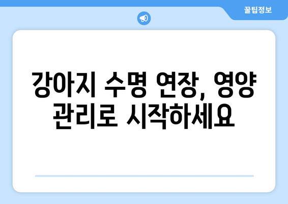 강아지 장수의 비밀| 영양 관리가 어떻게 수명을 연장하는가? | 건강, 수명, 영양, 팁