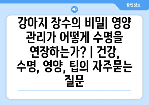 강아지 장수의 비밀| 영양 관리가 어떻게 수명을 연장하는가? | 건강, 수명, 영양, 팁