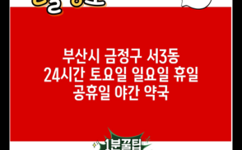 부산시 금정구 서3동 24시간 토요일 일요일 휴일 공휴일 야간 약국