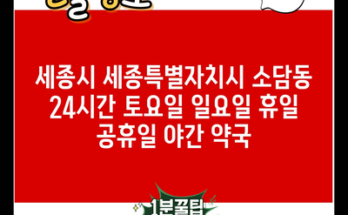 세종시 세종특별자치시 소담동 24시간 토요일 일요일 휴일 공휴일 야간 약국