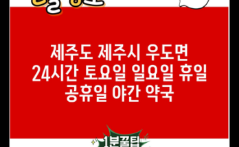 제주도 제주시 우도면 24시간 토요일 일요일 휴일 공휴일 야간 약국