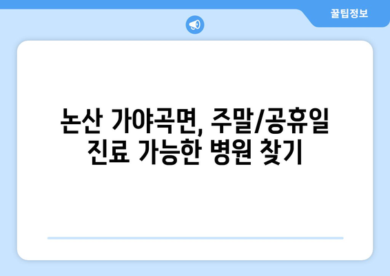 충청남도 논산시 가야곡면 일요일 휴일 공휴일 야간 진료병원 리스트