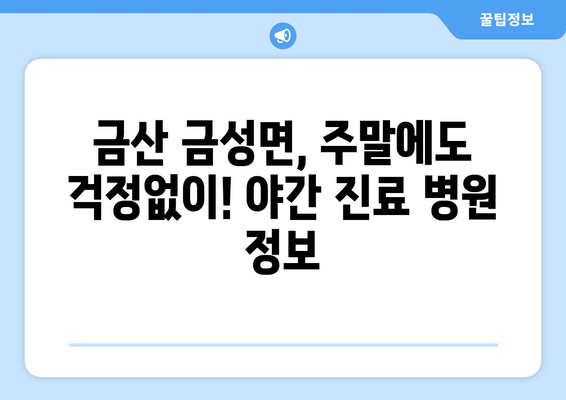 충청남도 금산군 금성면 일요일 휴일 공휴일 야간 진료병원 리스트