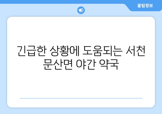 충청남도 서천군 문산면 24시간 토요일 일요일 휴일 공휴일 야간 약국