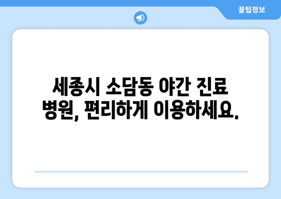 세종시 세종특별자치시 소담동 일요일 휴일 공휴일 야간 진료병원 리스트