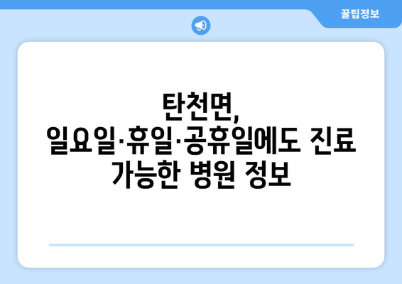 충청남도 공주시 탄천면 일요일 휴일 공휴일 야간 진료병원 리스트