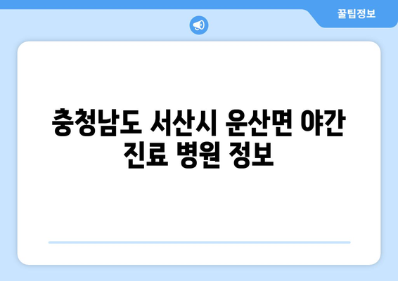 충청남도 서산시 운산면 일요일 휴일 공휴일 야간 진료병원 리스트