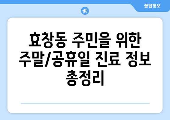 서울시 용산구 효창동 일요일 휴일 공휴일 야간 진료병원 리스트