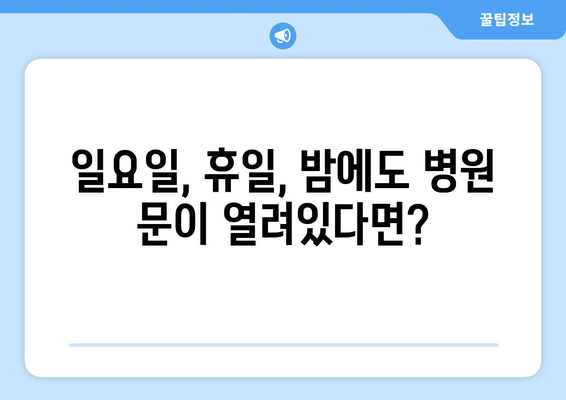 충청남도 청양군 비봉면 일요일 휴일 공휴일 야간 진료병원 리스트