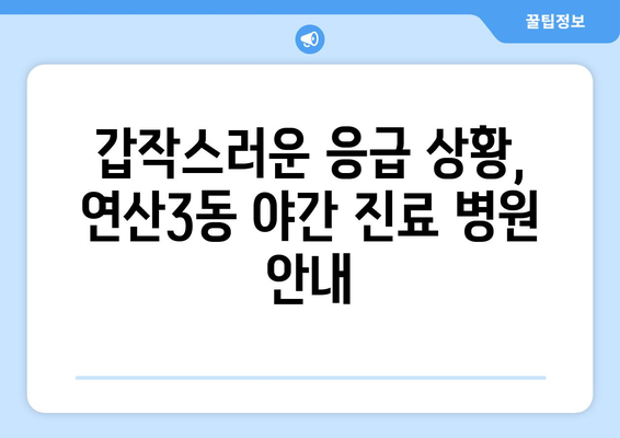 부산시 연제구 연산3동 일요일 휴일 공휴일 야간 진료병원 리스트