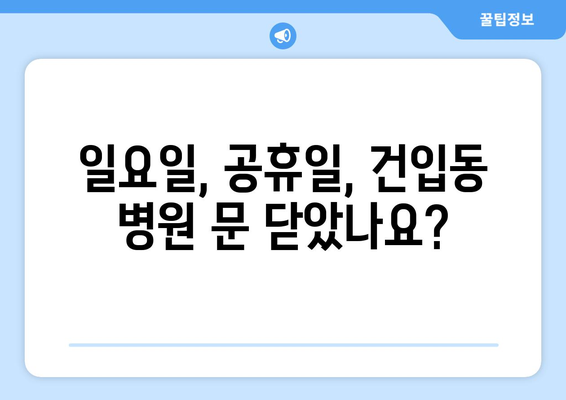 제주도 제주시 건입동 일요일 휴일 공휴일 야간 진료병원 리스트