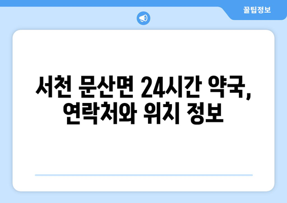 충청남도 서천군 문산면 24시간 토요일 일요일 휴일 공휴일 야간 약국