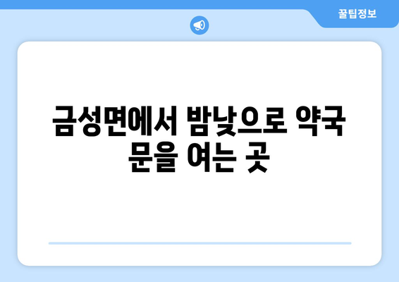 충청남도 금산군 금성면 24시간 토요일 일요일 휴일 공휴일 야간 약국