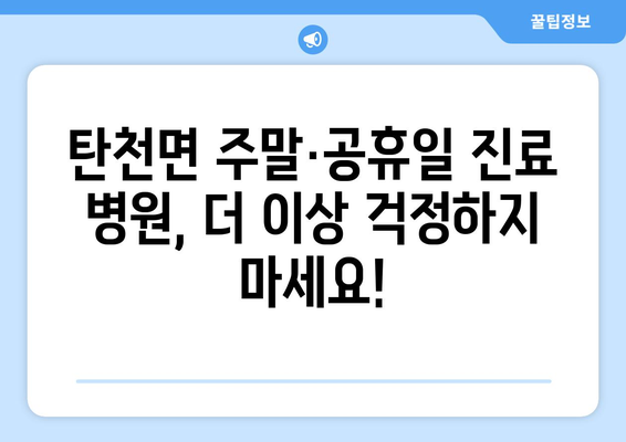 충청남도 공주시 탄천면 일요일 휴일 공휴일 야간 진료병원 리스트