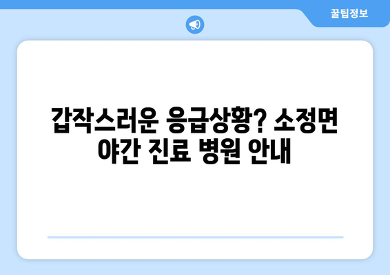 세종시 세종특별자치시 소정면 일요일 휴일 공휴일 야간 진료병원 리스트