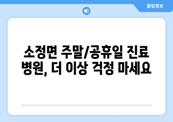 세종시 세종특별자치시 소정면 일요일 휴일 공휴일 야간 진료병원 리스트