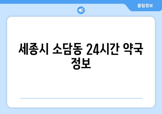 세종시 세종특별자치시 소담동 24시간 토요일 일요일 휴일 공휴일 야간 약국