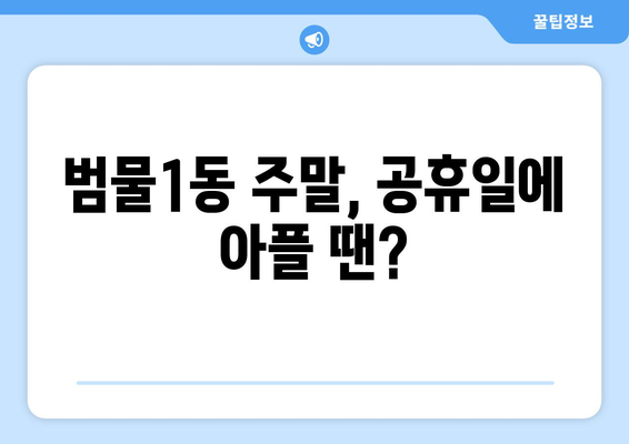 대구시 수성구 범물1동 일요일 휴일 공휴일 야간 진료병원 리스트