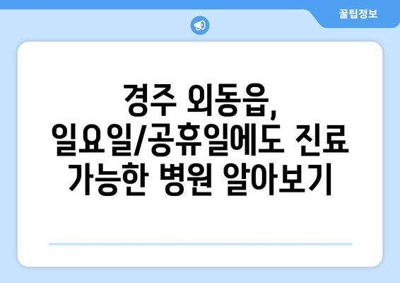 경상북도 경주시 외동읍 일요일 휴일 공휴일 야간 진료병원 리스트