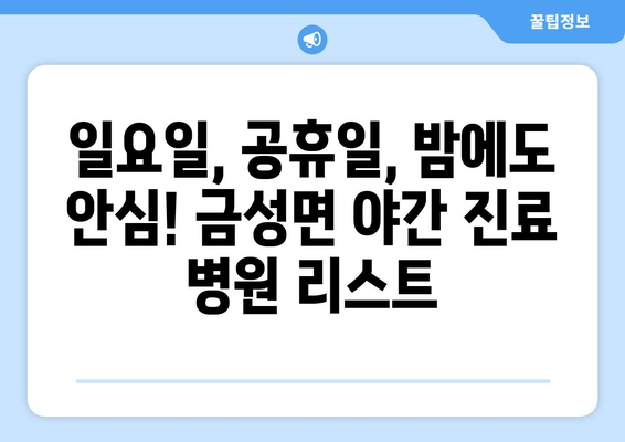 충청남도 금산군 금성면 일요일 휴일 공휴일 야간 진료병원 리스트