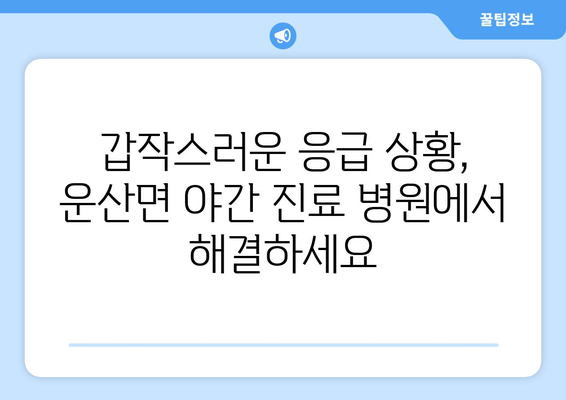 충청남도 서산시 운산면 일요일 휴일 공휴일 야간 진료병원 리스트