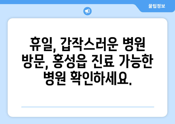 충청남도 홍성군 홍성읍 일요일 휴일 공휴일 야간 진료병원 리스트