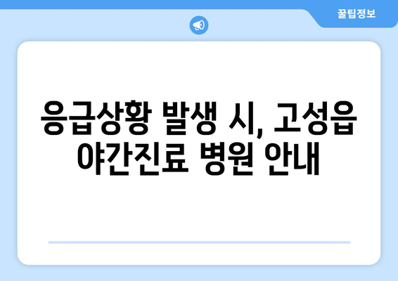 경상남도 고성군 고성읍 일요일 휴일 공휴일 야간 진료병원 리스트