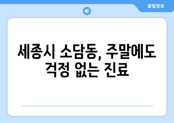 세종시 세종특별자치시 소담동 일요일 휴일 공휴일 야간 진료병원 리스트